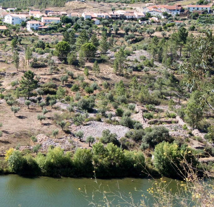 Conheira em Sobral Fernando
