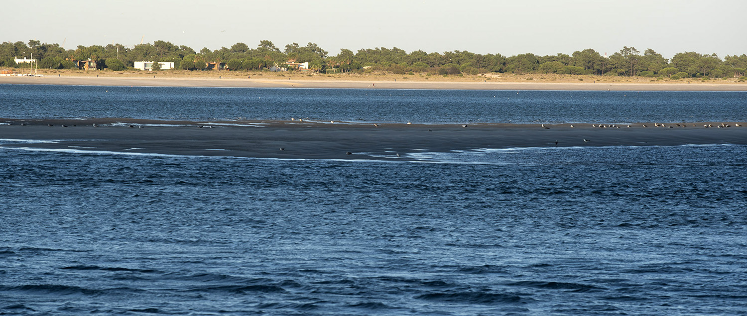site_barco_setubal_3352