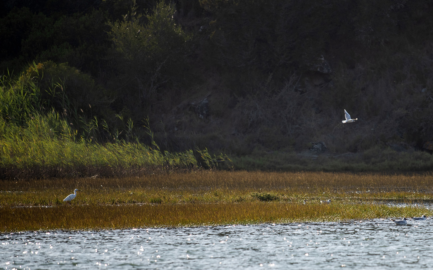 site_barco_vnmfontes_2550