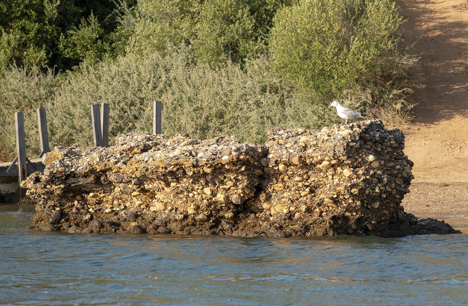 site_barco_vnmfontes_2564