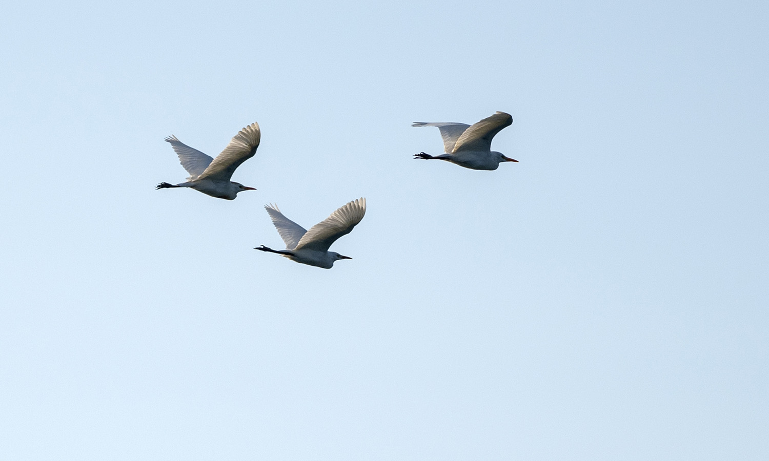 site_barco_vnmfontes_2570