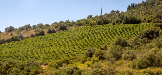 A paisagem de terrenos agrícolas é uma dominante na viagem