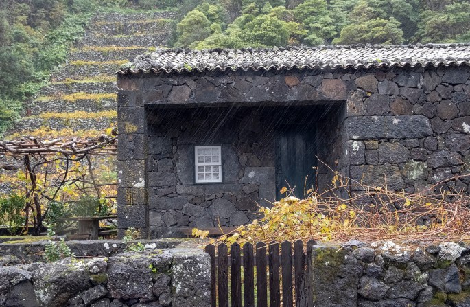 site_vinhas_DSCF7374