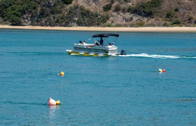 siteg_vnmfontes_mira_2476