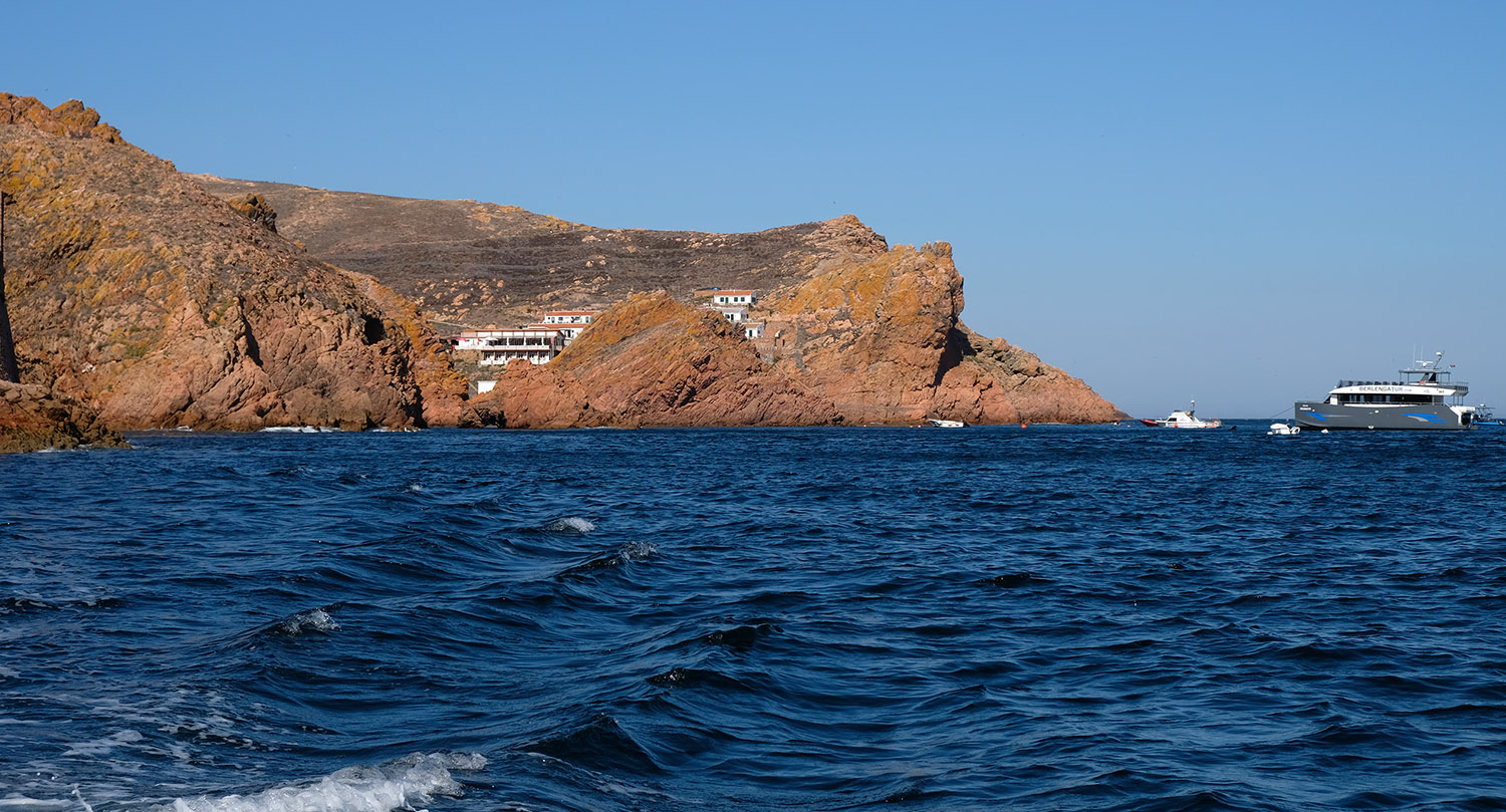 site_berlengas_DSCF2122