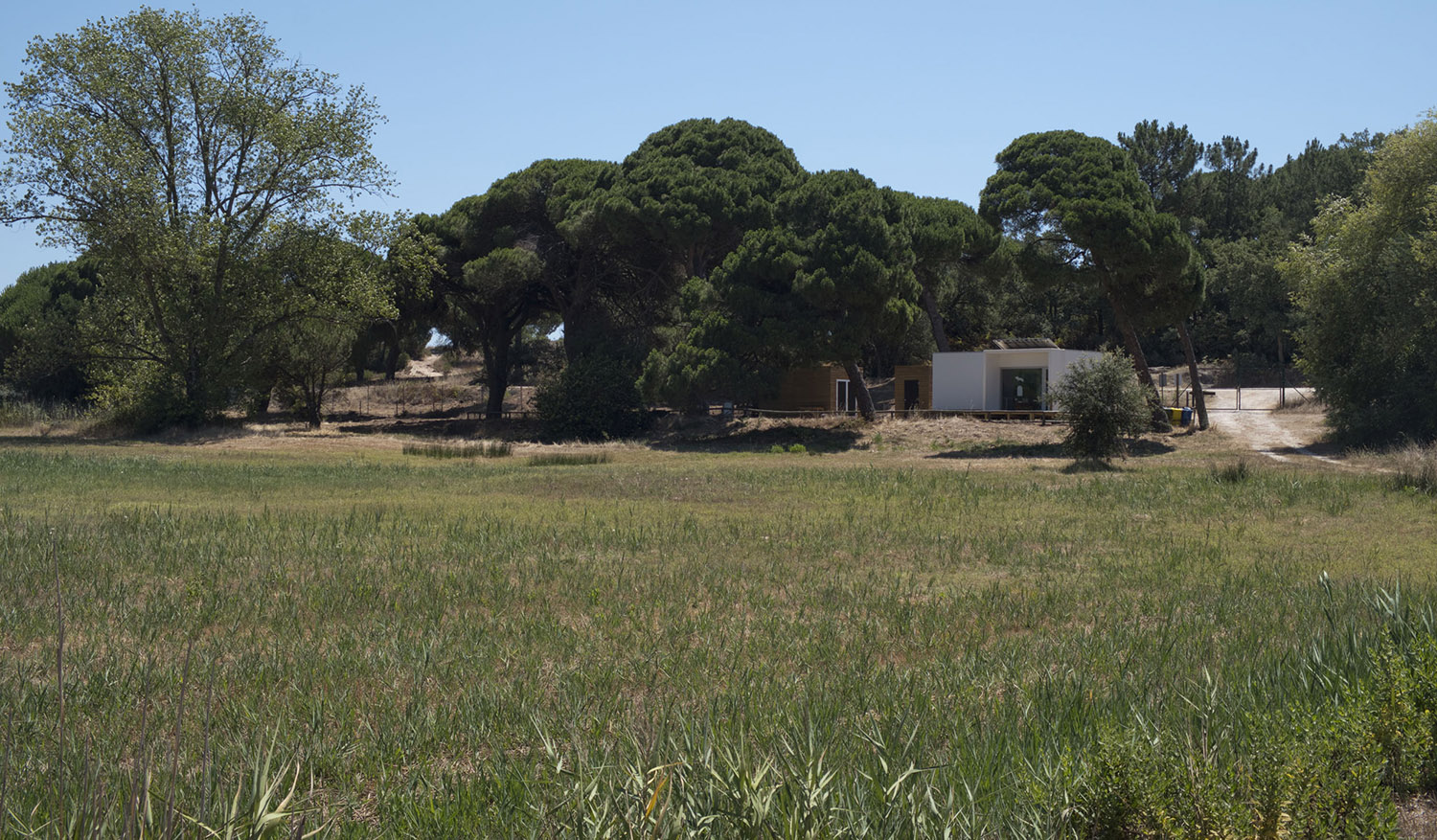 Toda a zona da Lagoa Pequena está protegida