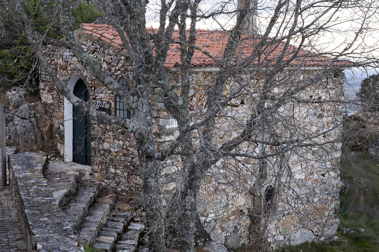 site_marofa_DSCF0858