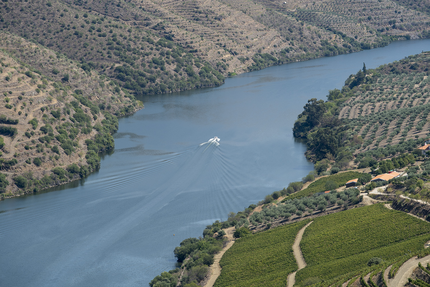 site_museu_coa_douro_1479