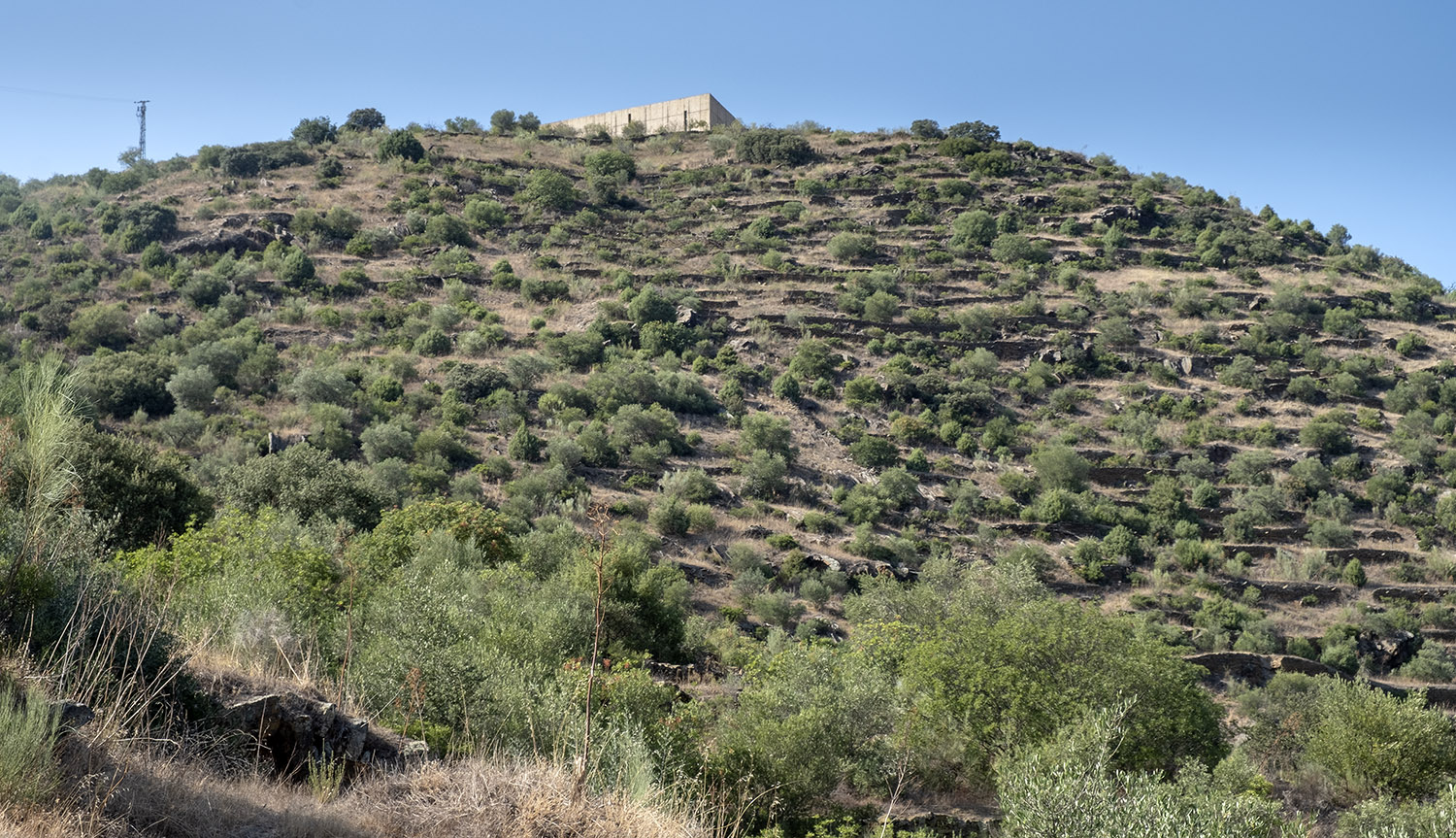 O Museu do Côa no topo da encosta