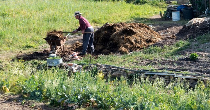 site_picote_hortas_7663