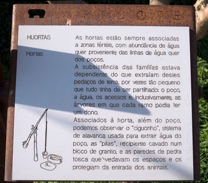 site_picote_hortas_DSCF0170