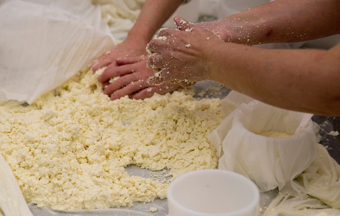 Coalhada resultante de leite cru, sal e flor de cardo