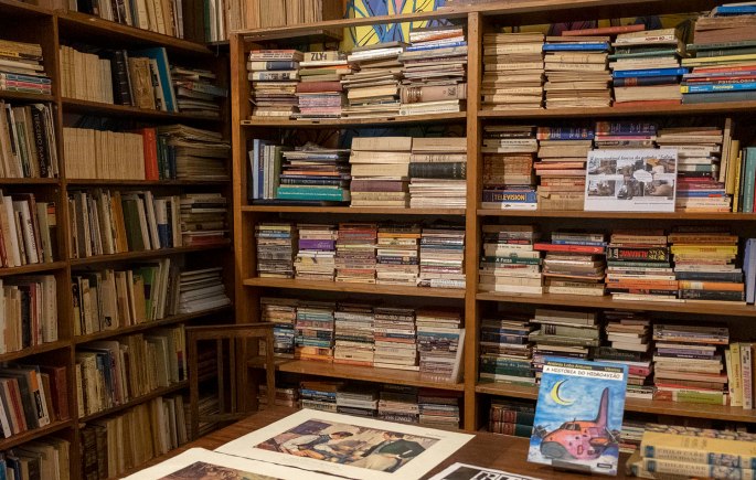 site_ulmeiro_DSCF3016