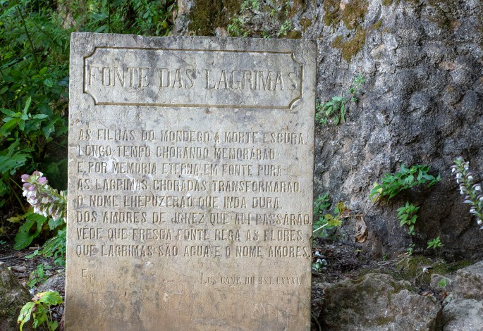 site_jardim_q_lagrimas_fonte_2081