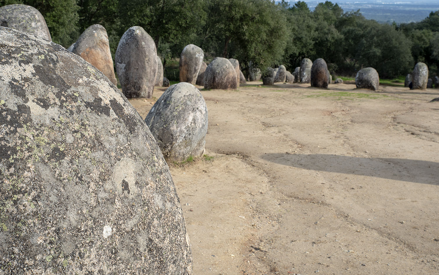 site_cromeleque_almendres_7622