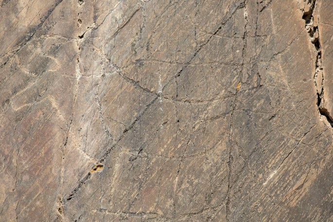 site_gravuras_rio_coa_1462