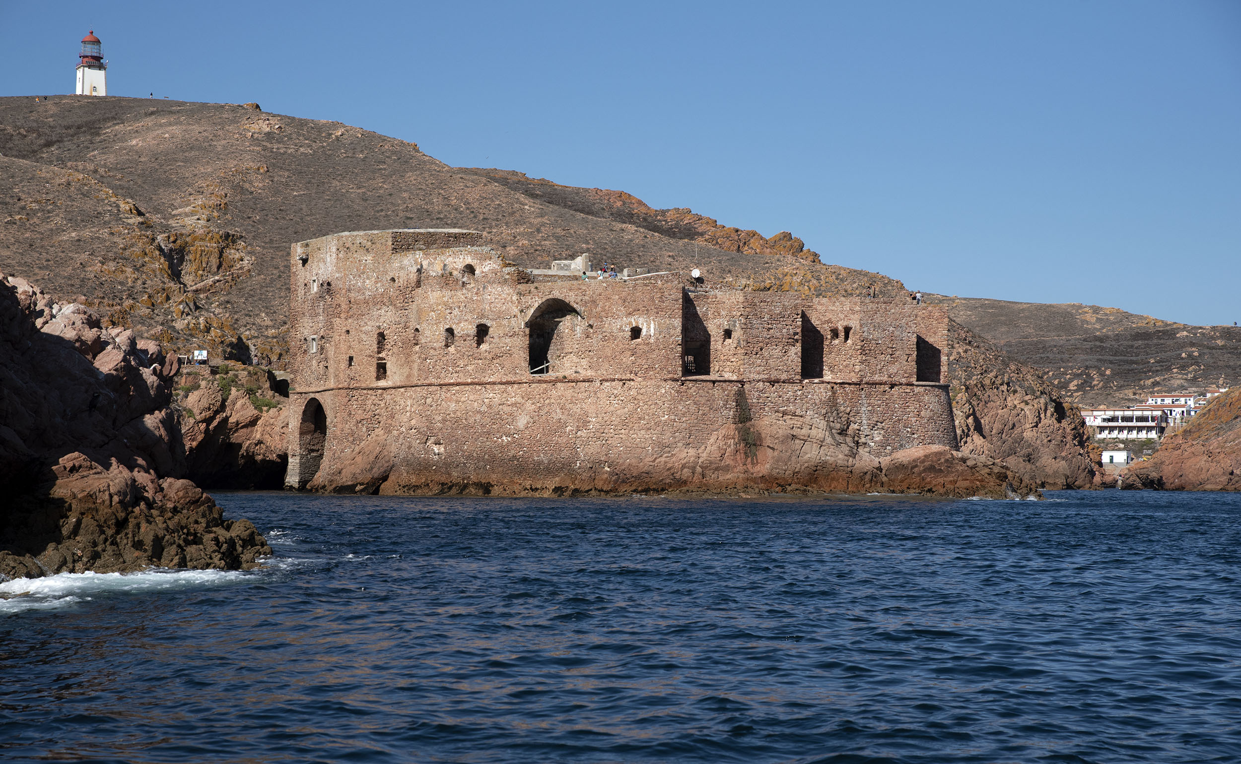 siteG_berlengas_forte_5190