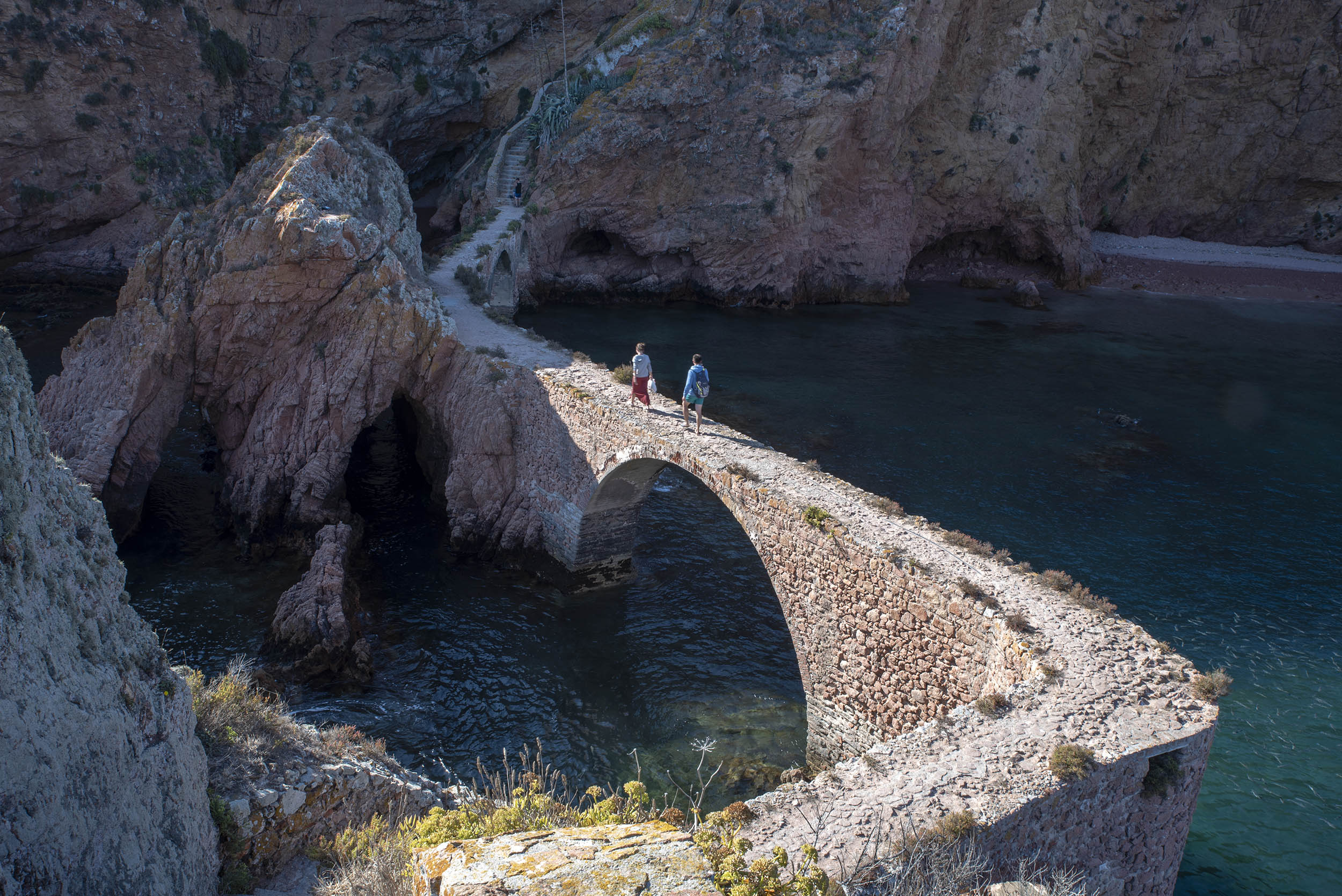 siteG_berlengas_forte_5257