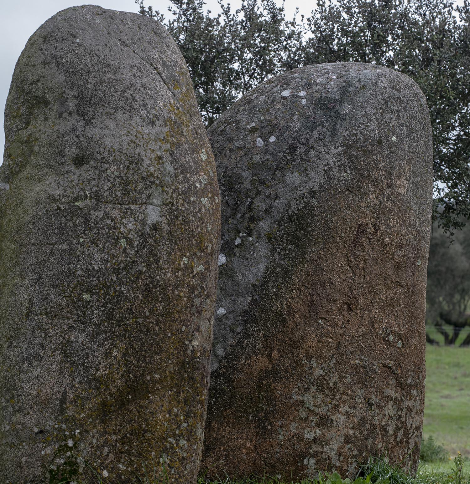 site_cromeleque_valeMaria_9007