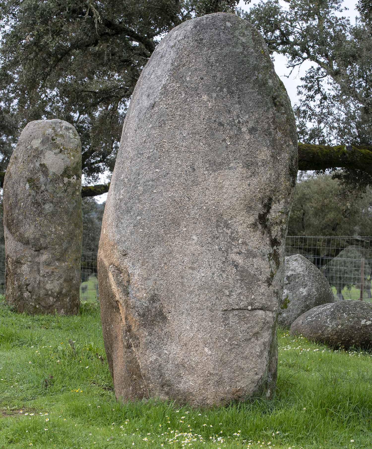 site_cromeleque_valeMaria_9009