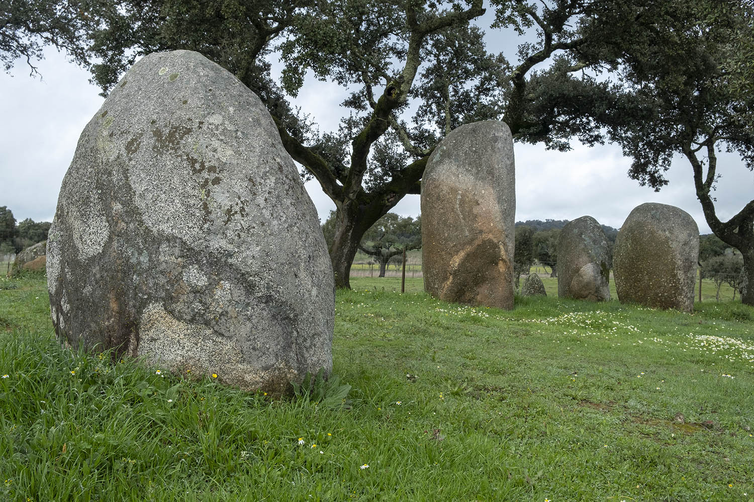 site_cromeleque_valeMaria_DSCF4429