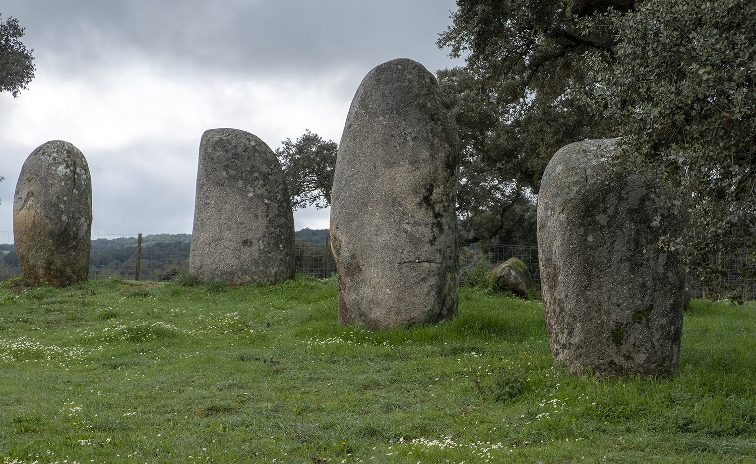 site_cromeleque_valeMaria_DSCF4438