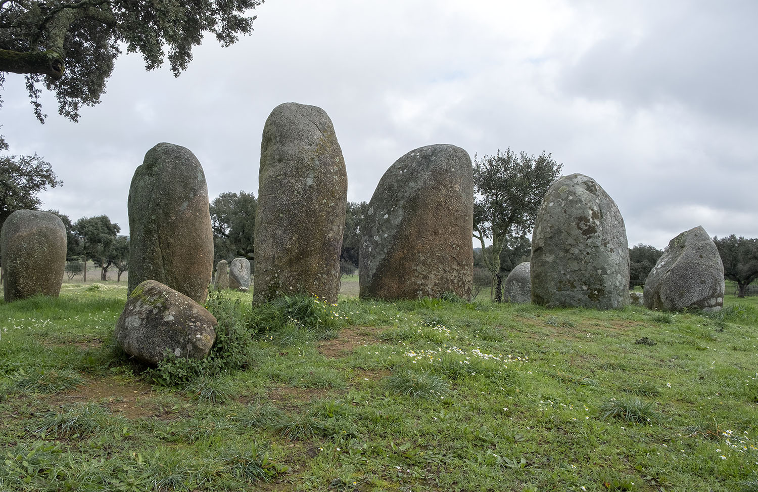 site_cromeleque_valeMaria_DSCF4443