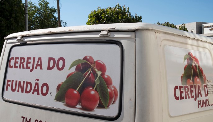 site_fundao_cereja_DSCF5119