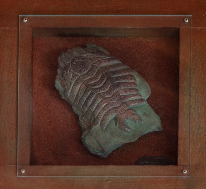 site_museu_trilobites_6108
