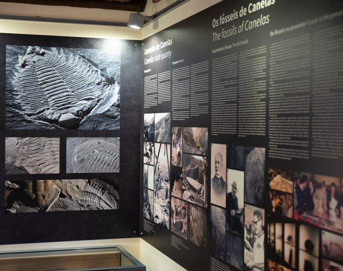 site_museu_trilobites_6140