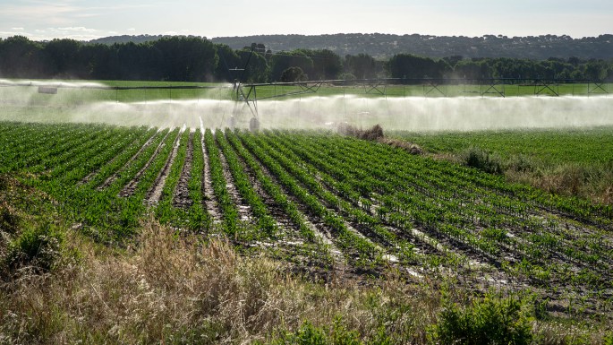 Área envolvente com actividade agrícola