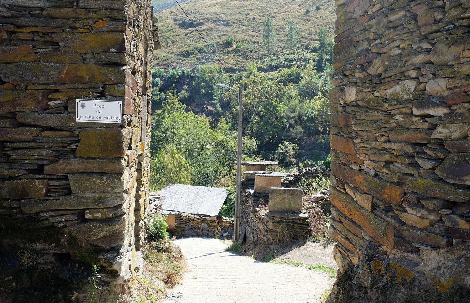 site_meitriz_DSCF2731