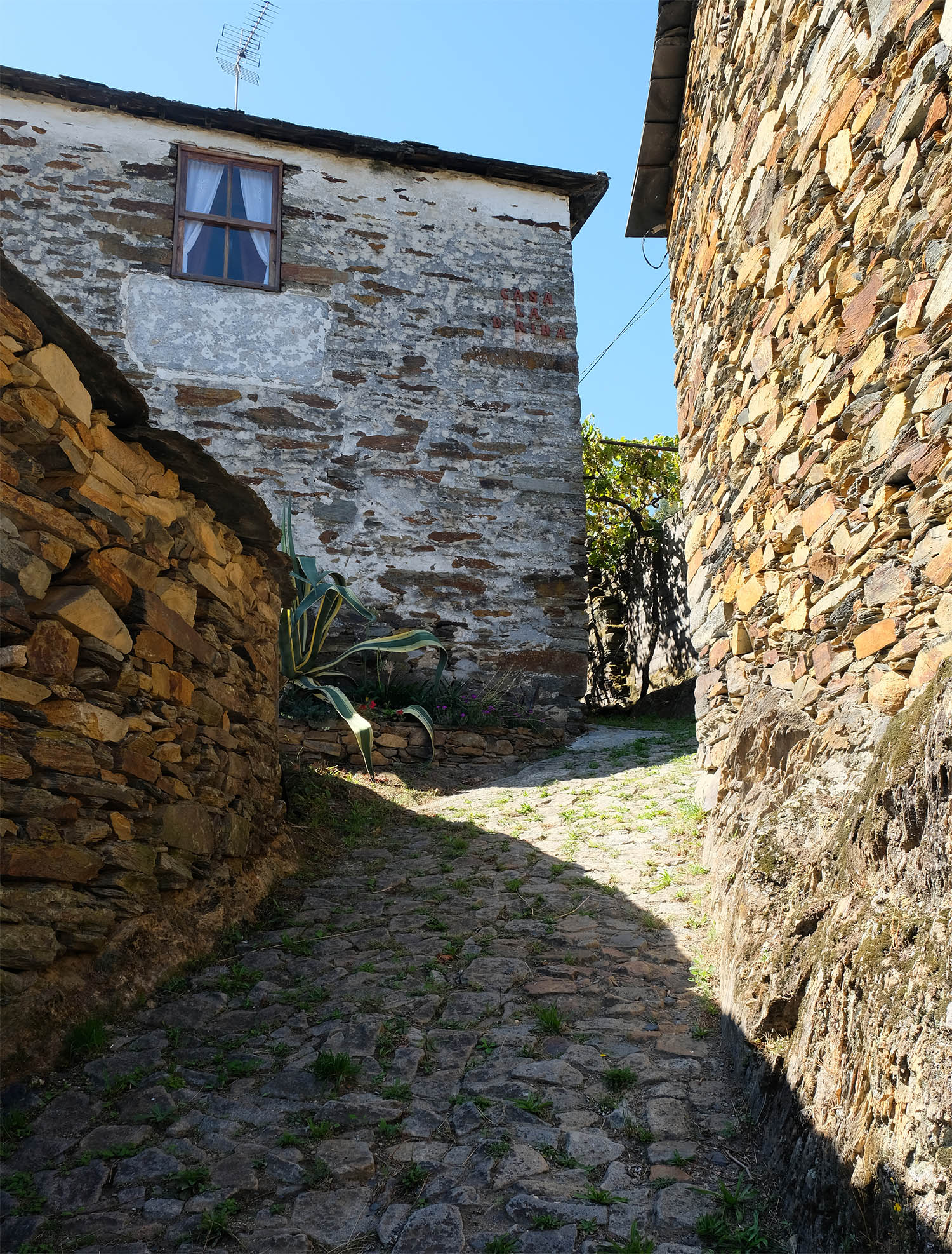 site_meitriz_DSCF2733