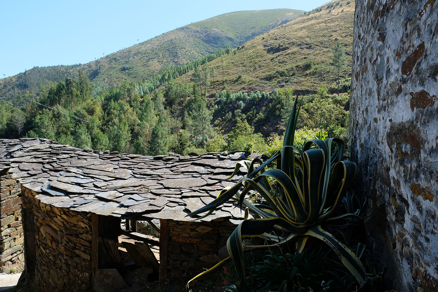 site_meitriz_DSCF2737