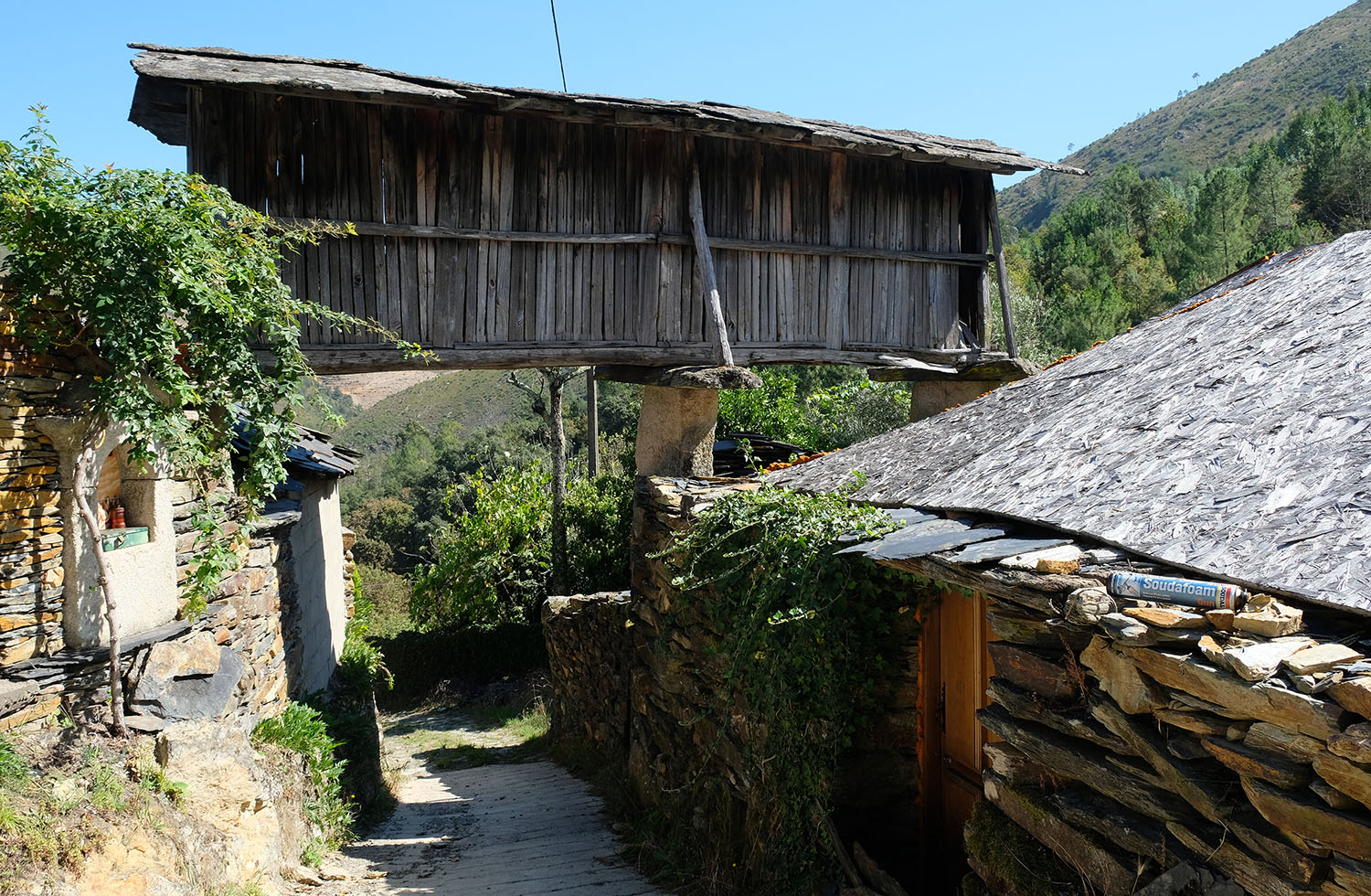 site_meitriz_DSCF2742