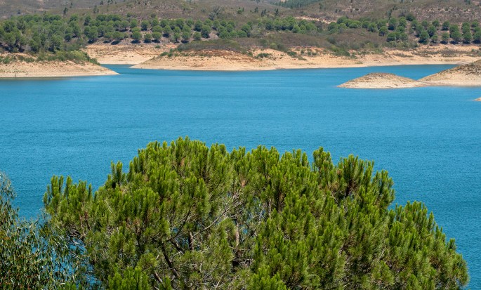 site_santa_clara_2694