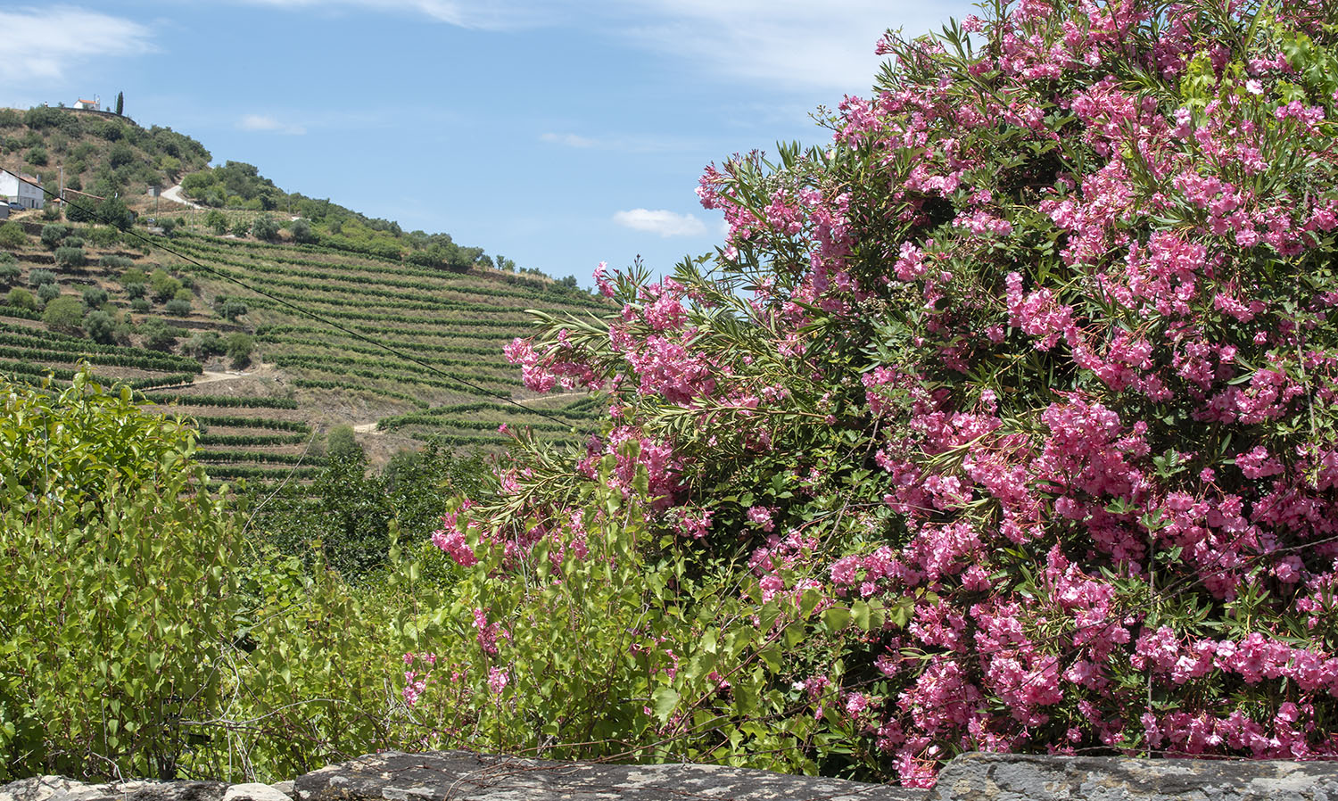 Vista para o miradouro de Santa Bárbara em Vale de Figueira