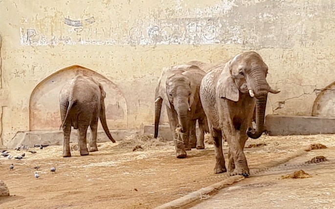 Jardim Zoológico de Lisboa