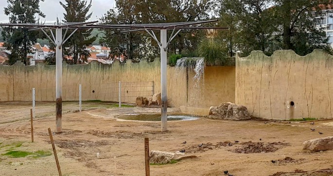 site_elefantes_cascta_zoo copy