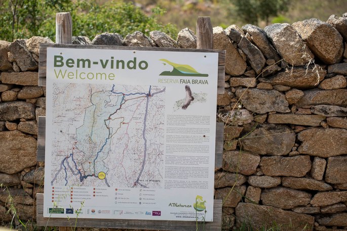 site_faia_brava_0583