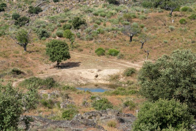 site_faia_brava_miradouro_0594