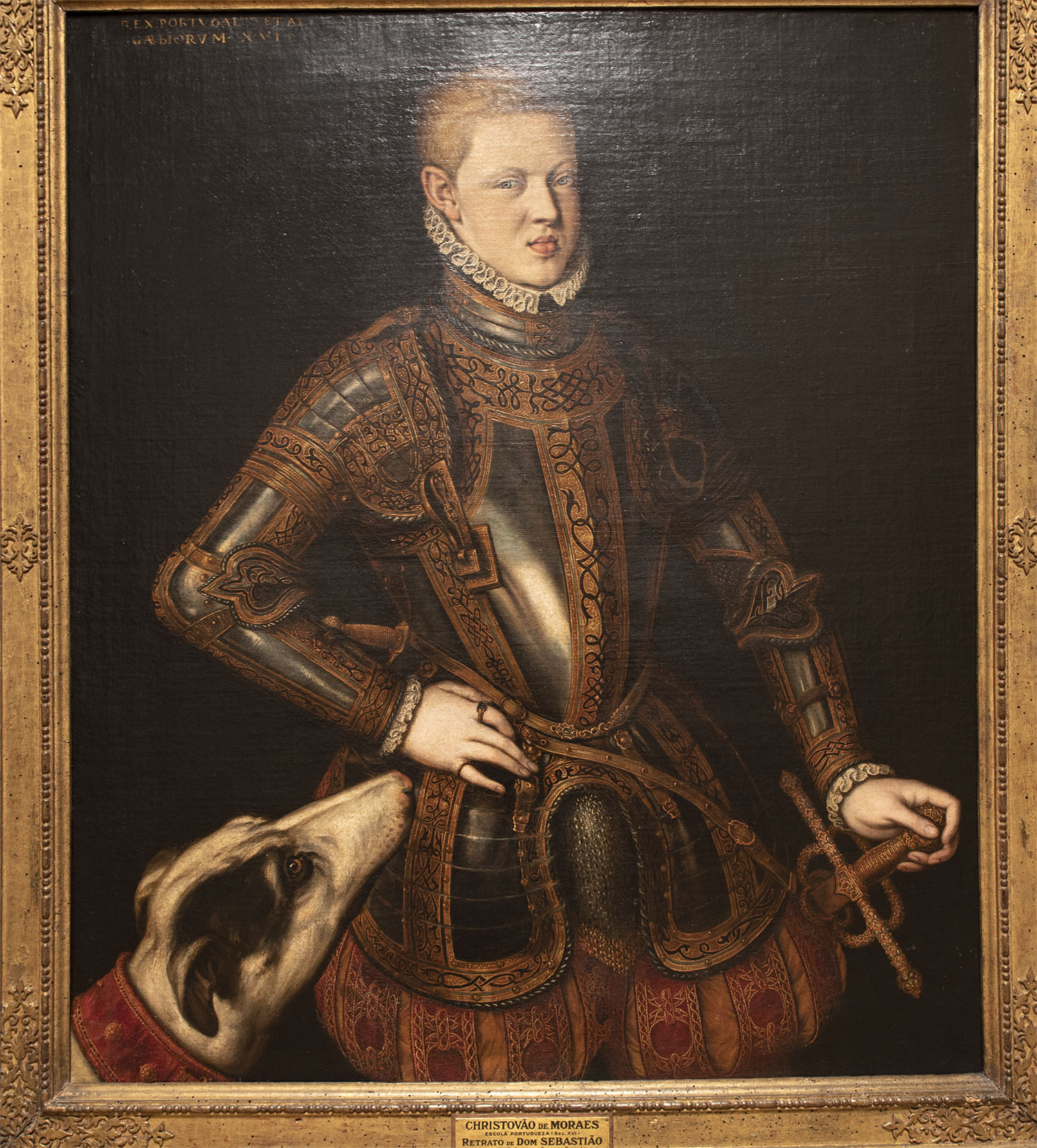 site_mnaa_sebastiao_6826