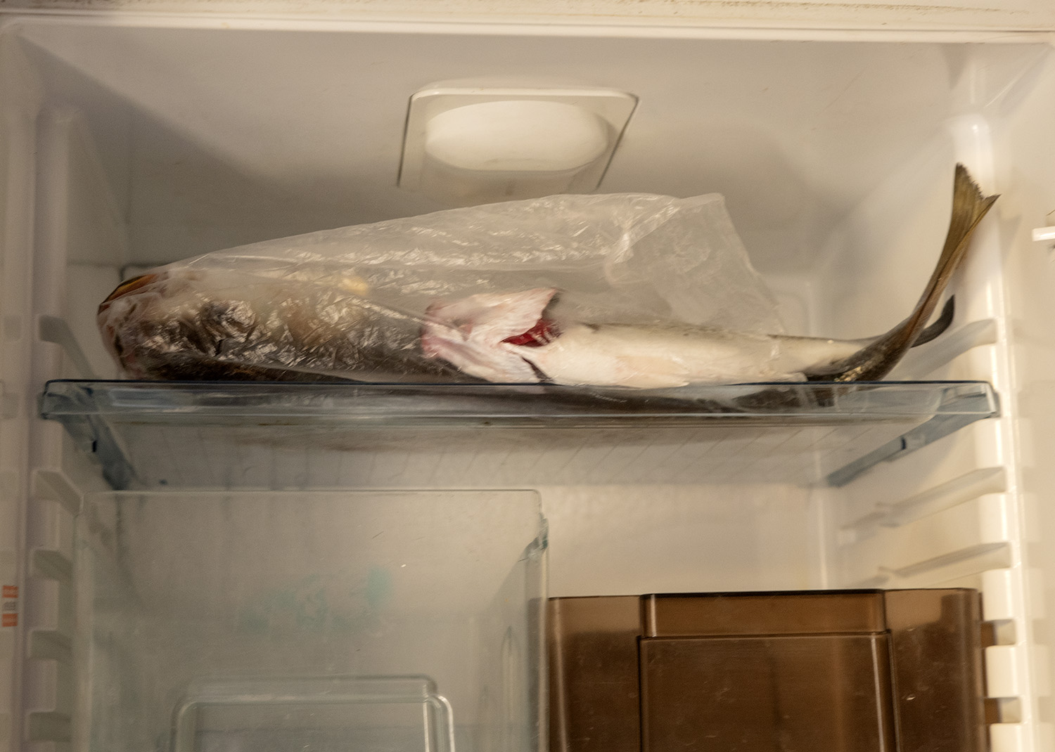 site_paco_darcos_dionisio_andrade_9662