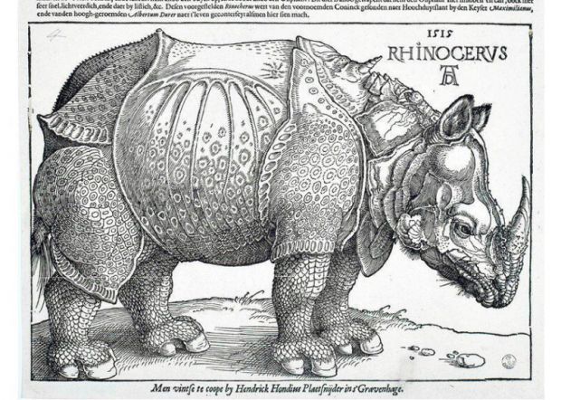 site_rinoceronte_durer
