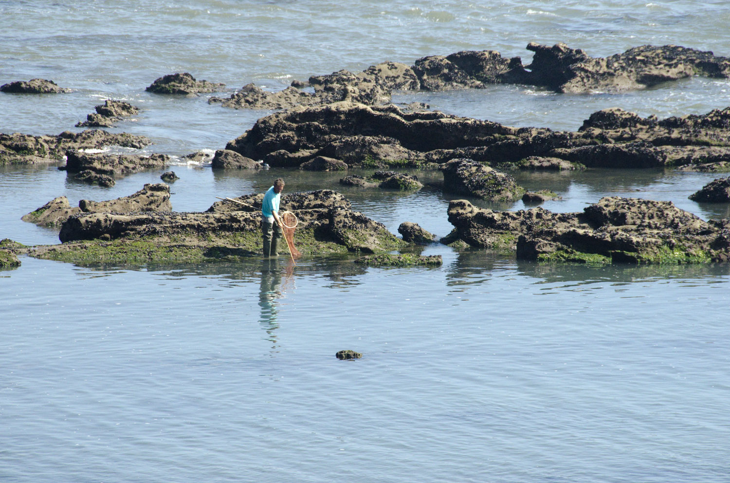 site_cabo_mondego_5398