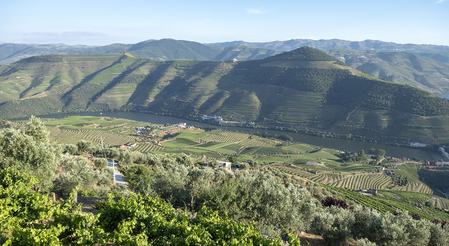 site_casal_loivos_DSCF5692