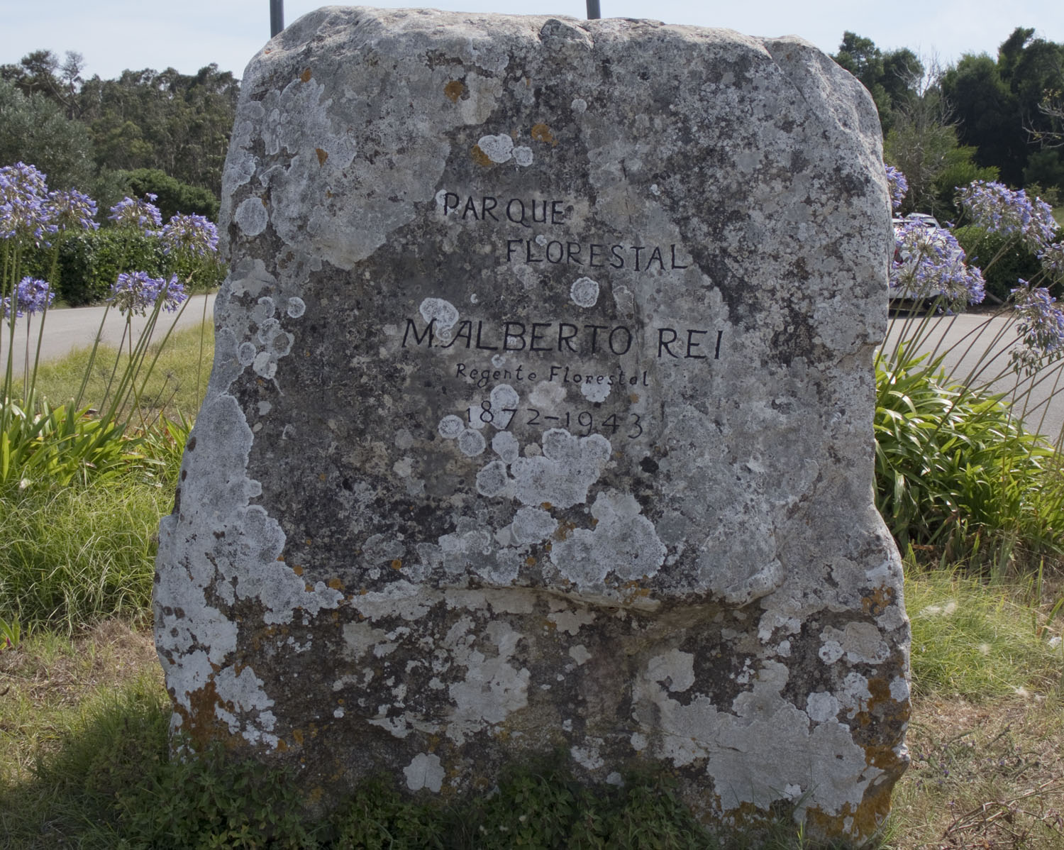 site_miradouro_bandeira_DSCF6286