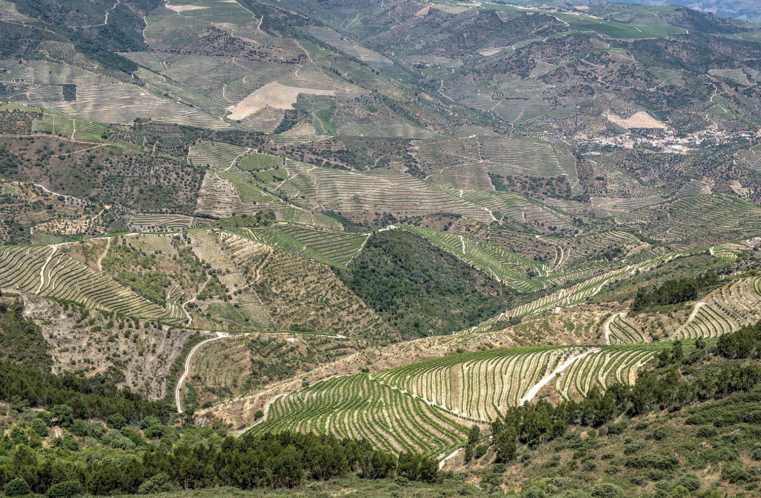 site_miradouro_sra_viso2_hdr