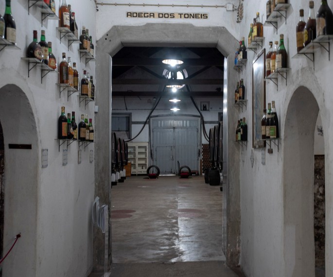 site_museu_vinho_8418