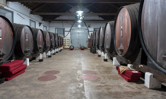 site_museu_vinho_8423